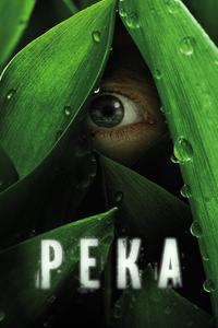Река Река